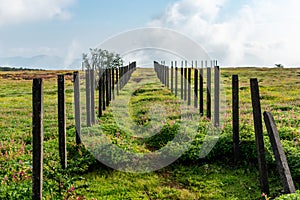 Leading lines landscape at Kaas Plateau