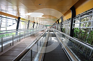 Leading lines: A travelator under a sheltered walkway