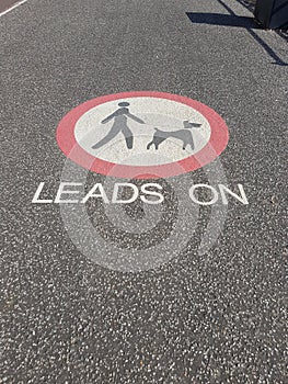 Leads on dog pavement sign.