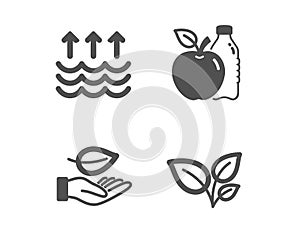 Leaf, Apple and Evaporation icons. Leaves sign. Plant care, Diet food, Global warming. Grow plant. Vector