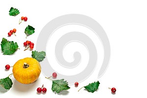 Leaf autumn. Natural food, harvest with orange pumpkin, fall dried leaves, rowan berries isolated on white background