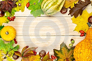 Leaf autumn. Natural harvest with orange pumpkin, fall dried leaves, red berries and acorns, chestnuts on wooden background in