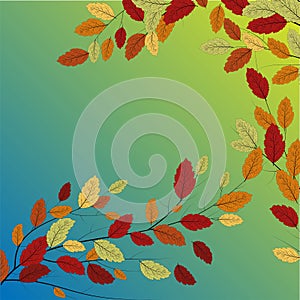 Leaf background. Modern nature backdrop. Autumn tree vector. Seasonal banner. Abstract autumn leaves background for decorative