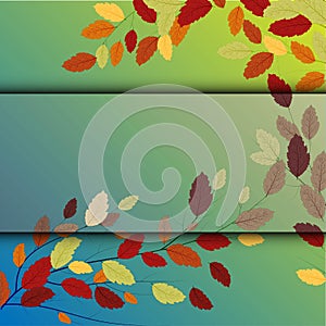 Leaf background. Modern nature backdrop. Autumn tree vector. Seasonal banner. Abstract autumn leaves background for decorative