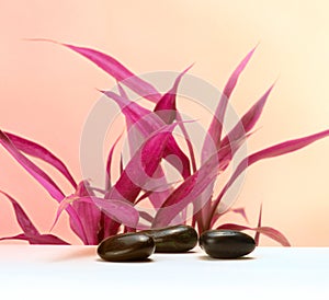 Leaf and black stones. Pink saturation color nature background