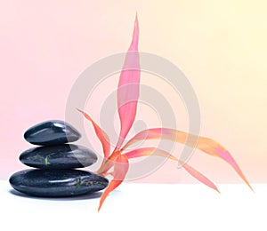 Leaf and black stones. Pink saturation color nature background