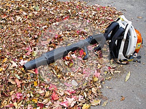 Leaf Blower photo