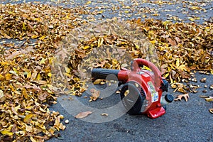 Leaf blower photo