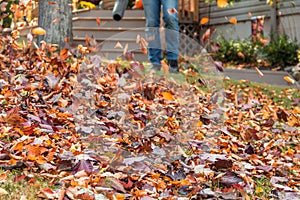 Leaf blower in action moving colorful fall leaves from residential lawn with intentional motion blur