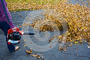 Leaf blowing