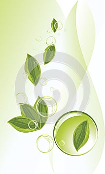 Leaf and bubbles on the abstract background