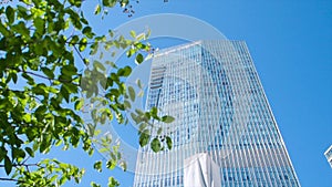 A leaf and building. Stock. Modern office building through the leaves of a tree. Business and nature concept