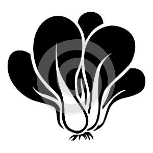 Leaf cabbage pak choy silhouette icon