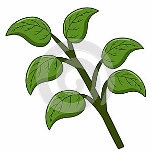 Leaf cartoon, green leaf isolated on white