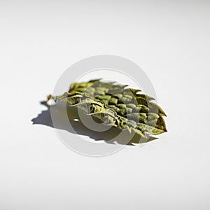 The leaf casts a soft shadow, suggesting a light source from the side