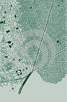 Leaf and city