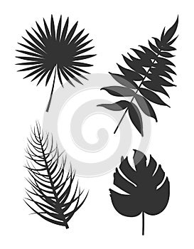 Leaf Collection Silhouette Vector Illustration