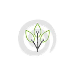 Leaf connection logo