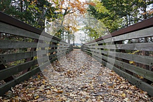 Leaf Covered Bridge In Autumn
