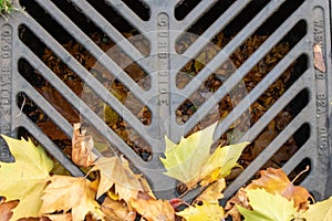 Leaf covered metal grate