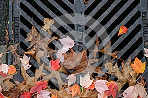 Leaf covered metal grate