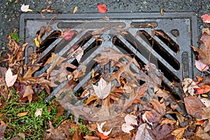 Leaf covered metal grate