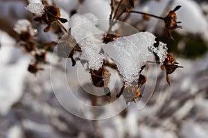 Nature covered in the snow during cold Winter in the country on the hills.