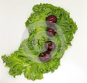 Leaf of Curly kale and cherries