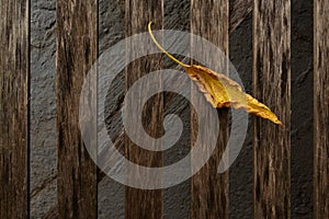 A leaf on a deck chair.