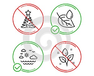 Leaf dew, Travel sea and Christmas tree icons set. Plants watering sign. Water drop, Summer holidays, Spruce. Vector