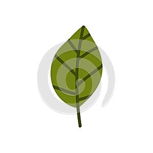 Leaf doodle icon, vector illustration
