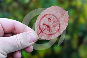 Leaf with drawning sad smiley in hand close-up