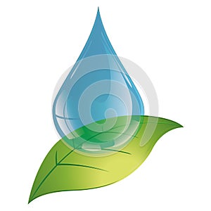 Leaf drop - Ecological concept - Logo