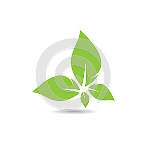 Leaf ecology logo vector icon