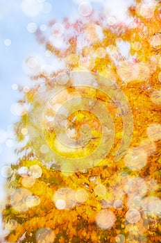 Leaf fall abstract background