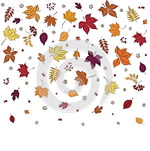 Leaf fall. Autumn leaves are drawn on a white background. Border from sketches drawn in style. For textiles, wallpapers, gift