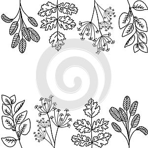 Leaf Flat Background Vector Illustration