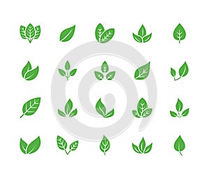 Leaf flat glyph icons. Plant, tree leaves illustrations. Signs of organic food, natural material, bio ingredient, eco