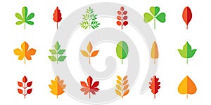 Leaf flat icon set. Vector collection. Tree leaves. Eco logo sign. Red, green, yellow. Spring, summer, autumn element