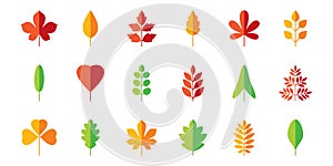Leaf flat icon set. Vector collection. Tree leaves. Eco logo sign. Red, green, yellow. Spring, summer, autumn element