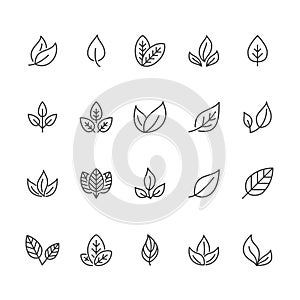 Leaf flat line icons. Plant, tree leaves illustrations. Thin signs of organic food, natural material, bio ingredient