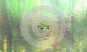 Leaf floating calm water scene background