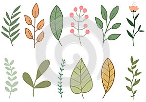 Leaf and floral collection design vector for design ,decorate