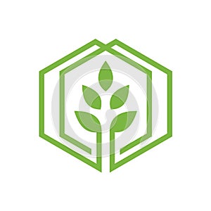 Leaf Flower Bloom Green Growth Box Hexagon Cube Logo Design Inspiration