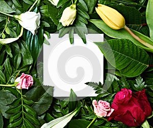 leaf flower greeting card note paper frame background flat lay floral layout invitation nature spring green