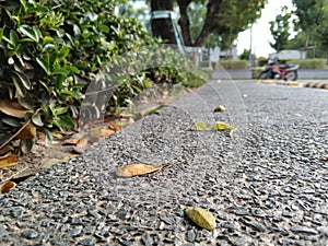 Leaf focus background style