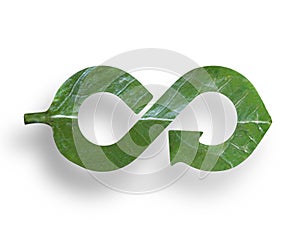Leaf in form of arrow infinity recycling shape, circular economy
