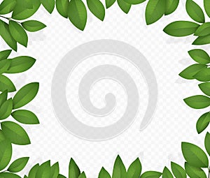 Leaf frame on transparent background photo