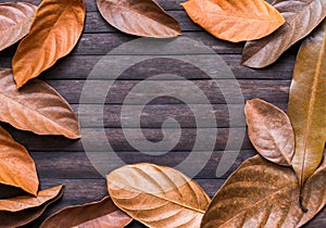 Leaf frame on wooden background. Autumn seasonal banner template with text place.
