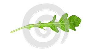 Leaf of fresh arugula on white